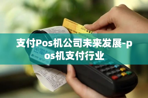 支付Pos机公司未来发展-pos机支付行业 支付Pos机公司未来发展-pos机支付行业