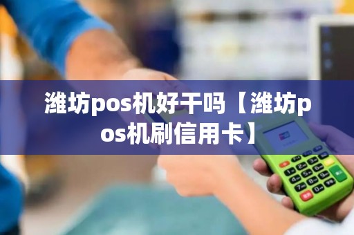 潍坊pos机好干吗【潍坊pos机刷信用卡】