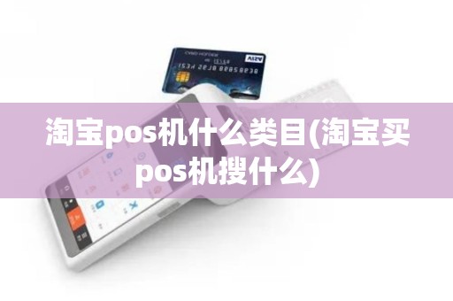 淘宝pos机什么类目(淘宝买pos机搜什么)