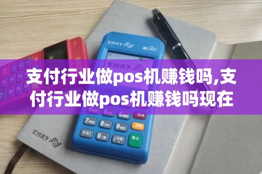 支付行业做pos机赚钱吗,支付行业做pos机赚钱吗现在