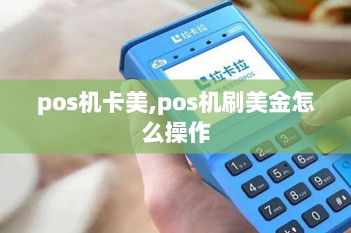 pos机卡美,pos机刷美金怎么操作