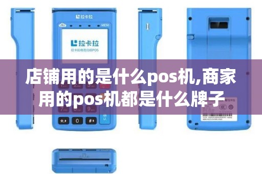 店铺用的是什么pos机,商家用的pos机都是什么牌子