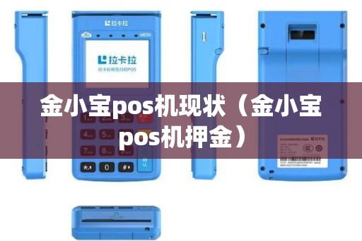金小宝pos机现状（金小宝pos机押金）