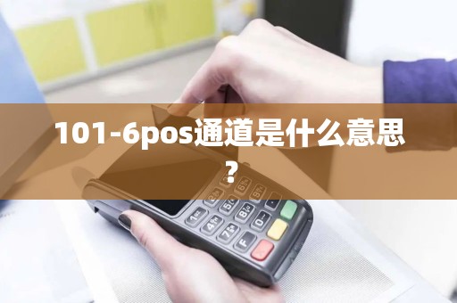 101-6pos通道是什么意思？