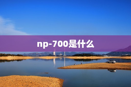 np-700是什么 np-700是什么