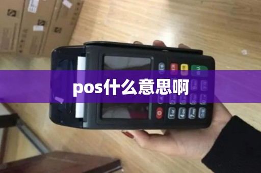 pos什么意思啊