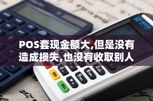 POS套现金额大,但是没有造成损失,也没有收取别人刷卡的...