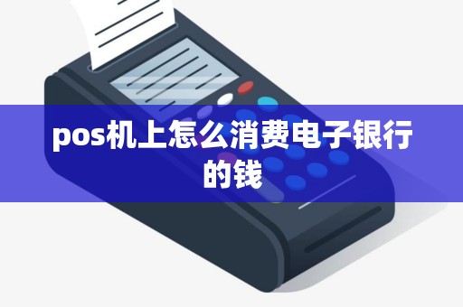 pos机上怎么消费电子银行的钱