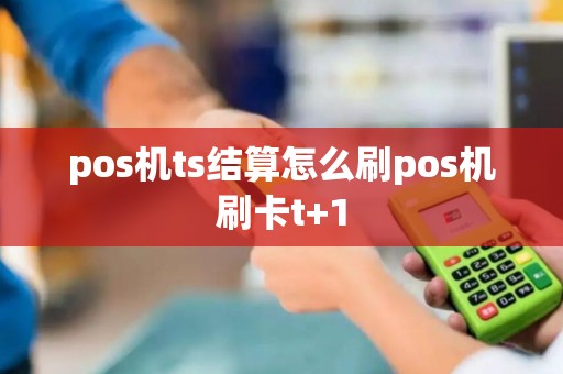 pos机ts结算怎么刷pos机刷卡t+1