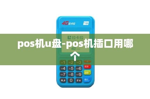 pos机u盘-pos机插口用哪个