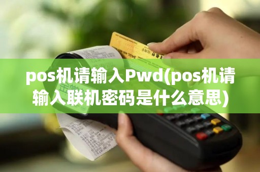 pos机请输入Pwd(pos机请输入联机密码是什么意思)