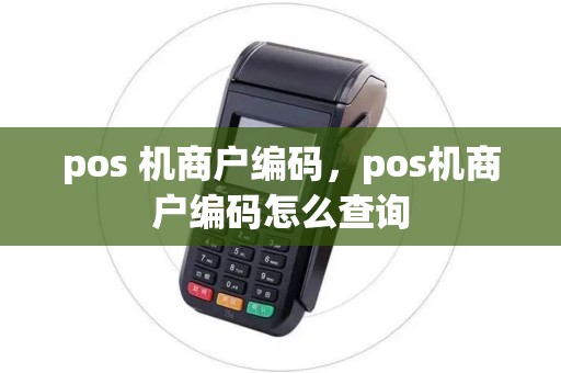 pos 机商户编码，pos机商户编码怎么查询
