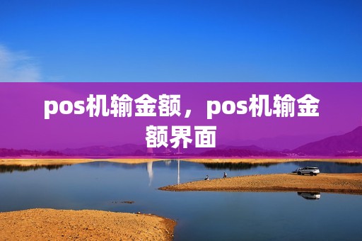 pos机输金额，pos机输金额界面