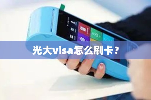 光大visa怎么刷卡？