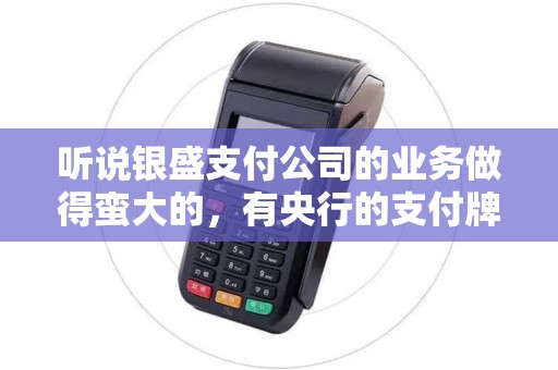 听说银盛支付公司的业务做得蛮大的，有央行的支付牌照吗？