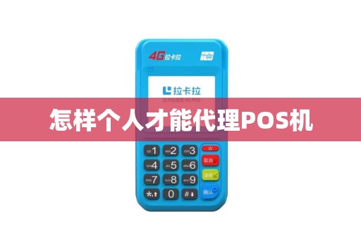 怎样个人才能代理POS机