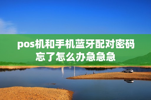 pos机和手机蓝牙配对密码忘了怎么办急急急