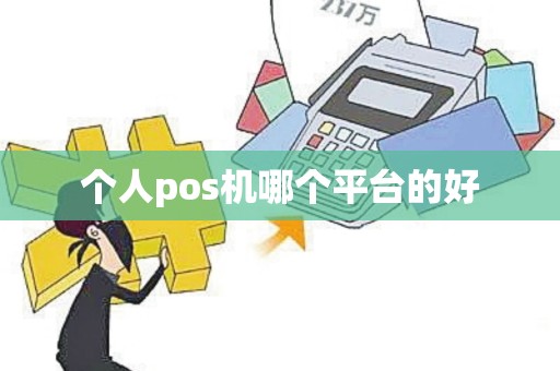 个人pos机哪个平台的好