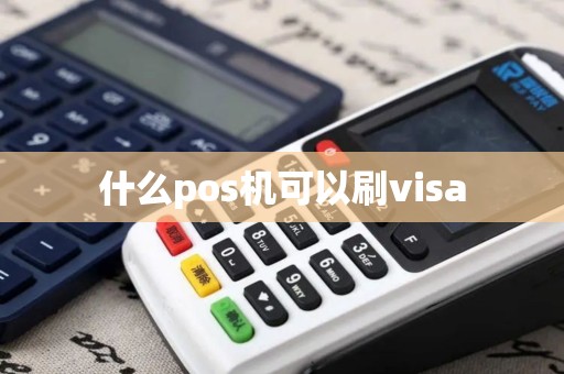 什么pos机可以刷visa