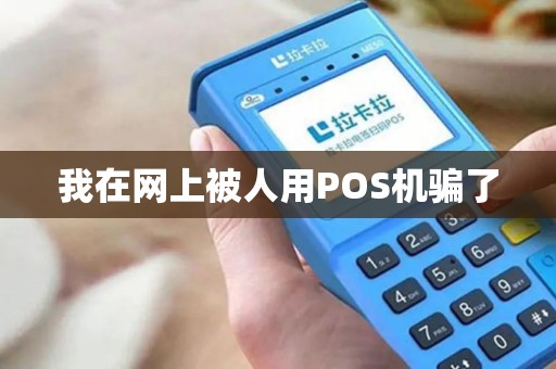 我在网上被人用POS机骗了 我在网上被人用POS机骗了