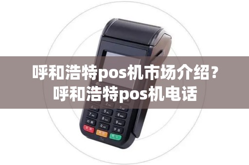呼和浩特pos机市场介绍？呼和浩特pos机电话