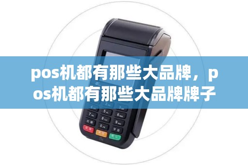 pos机都有那些大品牌，pos机都有那些大品牌牌子