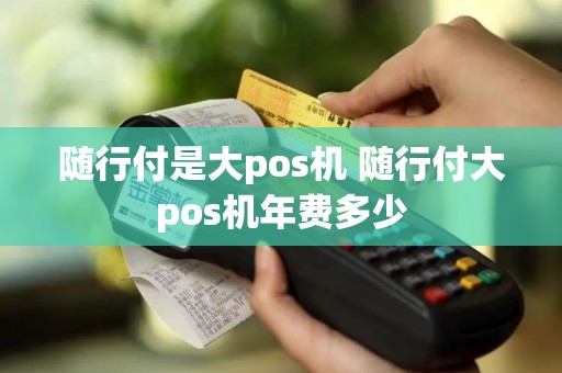 随行付是大pos机 随行付大pos机年费多少