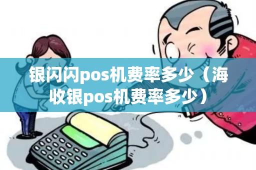 银闪闪pos机费率多少（海收银pos机费率多少）