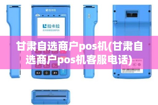 甘肃自选商户pos机(甘肃自选商户pos机客服电话)