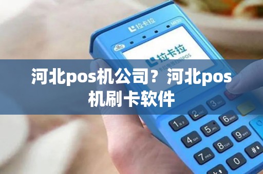 河北pos机公司？河北pos机刷卡软件