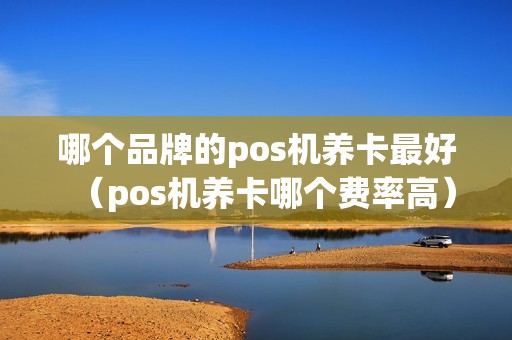 哪个品牌的pos机养卡最好（pos机养卡哪个费率高）