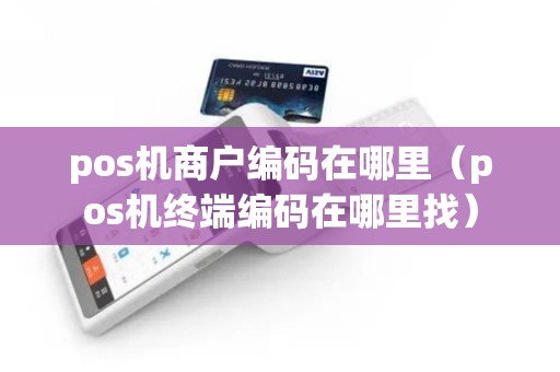 pos机商户编码在哪里（pos机终端编码在哪里找）