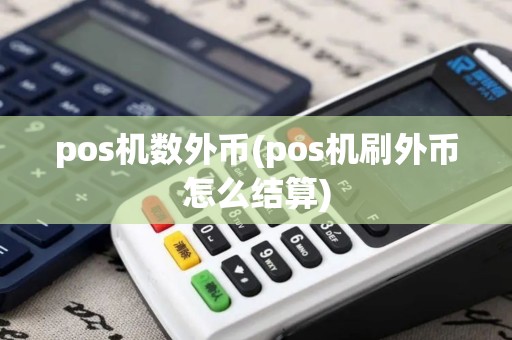 pos机数外币(pos机刷外币怎么结算)