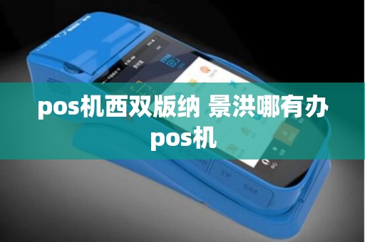 pos机西双版纳 景洪哪有办pos机