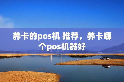 养卡的pos机 推荐，养卡哪个pos机器好