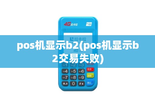 pos机显示b2(pos机显示b2交易失败)