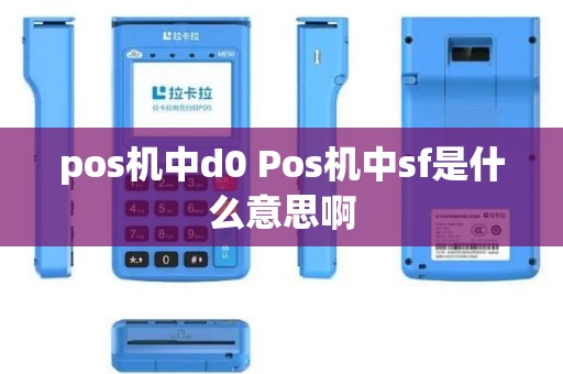 pos机中d0 Pos机中sf是什么意思啊