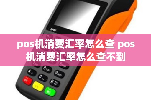 pos机消费汇率怎么查 pos机消费汇率怎么查不到