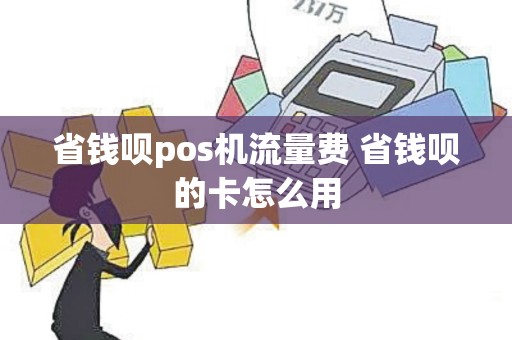 省钱呗pos机流量费 省钱呗的卡怎么用