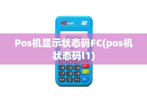 Pos机显示状态码FC(pos机状态码l1)