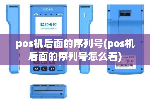 pos机后面的序列号(pos机后面的序列号怎么看)