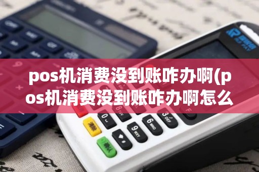 pos机消费没到账咋办啊(pos机消费没到账咋办啊怎么回事)