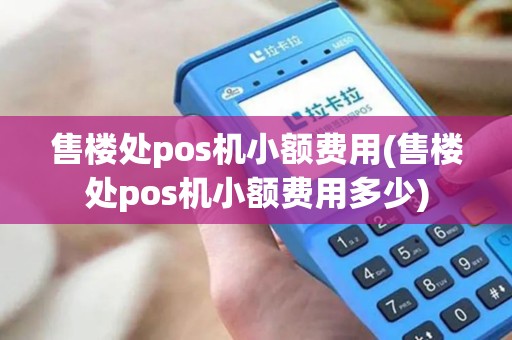 售楼处pos机小额费用(售楼处pos机小额费用多少)