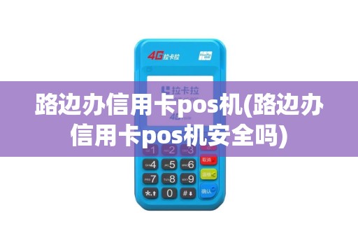 路边办信用卡pos机(路边办信用卡pos机安全吗)