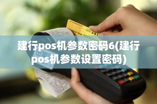 建行pos机参数密码6(建行pos机参数设置密码)