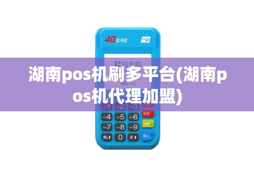 湖南pos机刷多平台(湖南pos机代理加盟)
