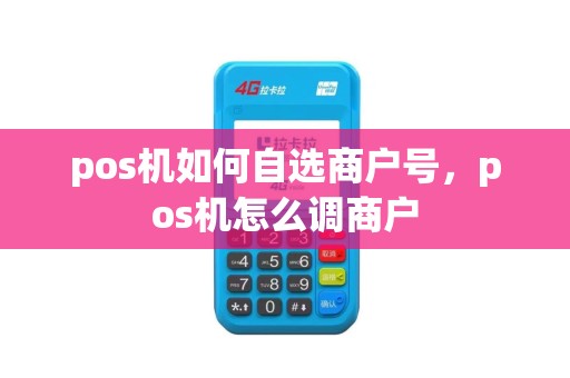 pos机如何自选商户号，pos机怎么调商户
