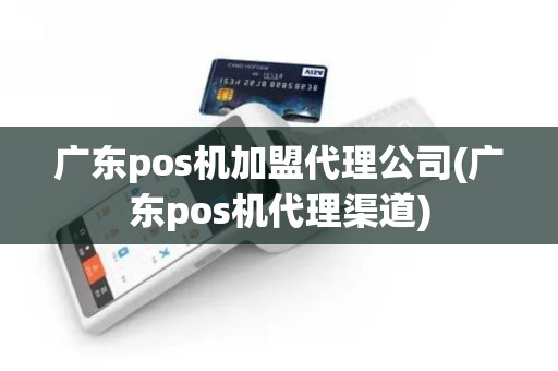 广东pos机加盟代理公司(广东pos机代理渠道)