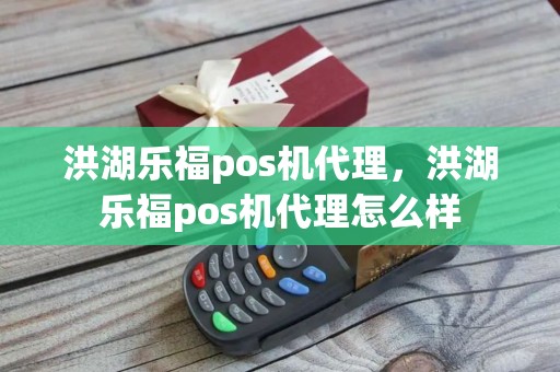 洪湖乐福pos机代理，洪湖乐福pos机代理怎么样