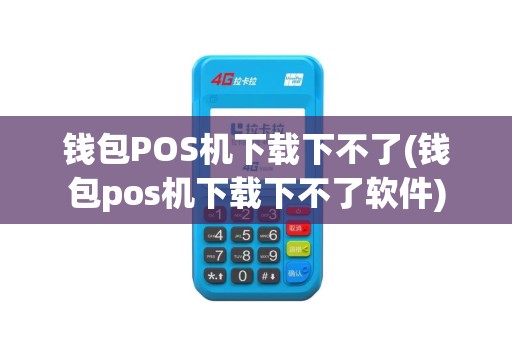 钱包POS机下载下不了(钱包pos机下载下不了软件)